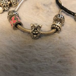 pandora charm